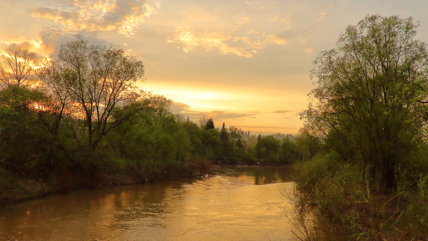 Заката нежные порывы
