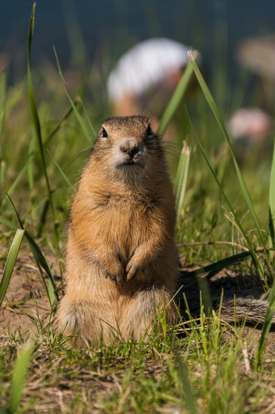 Что ты мне покушать принес!