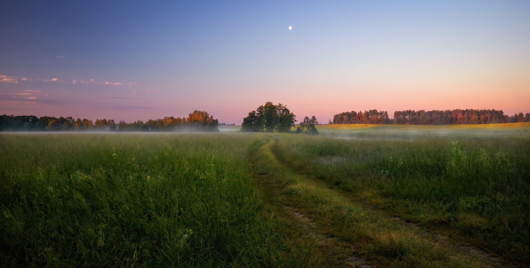 Палитра летнего рассвета
