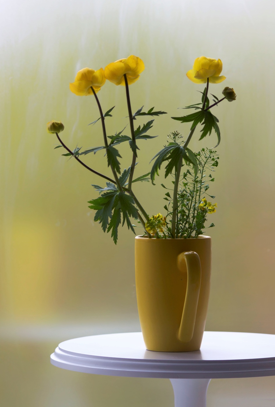 Купальница