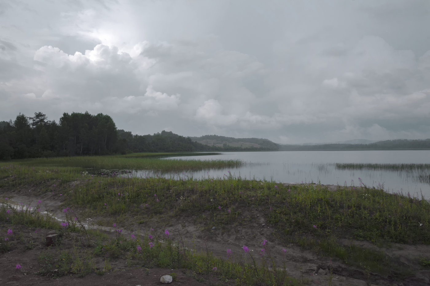 после дождя