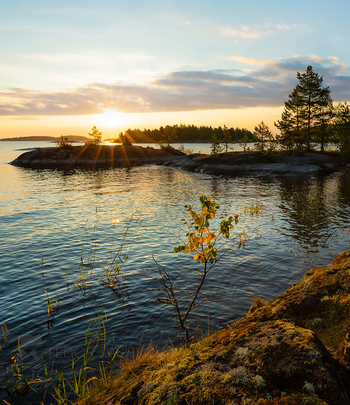 Купаясь в лучах солнца
