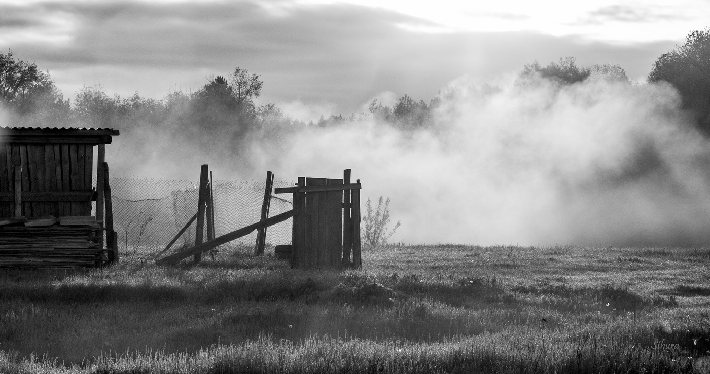Дверь в туман.
