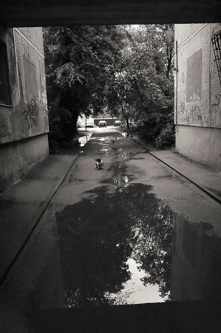 Мы тут живем