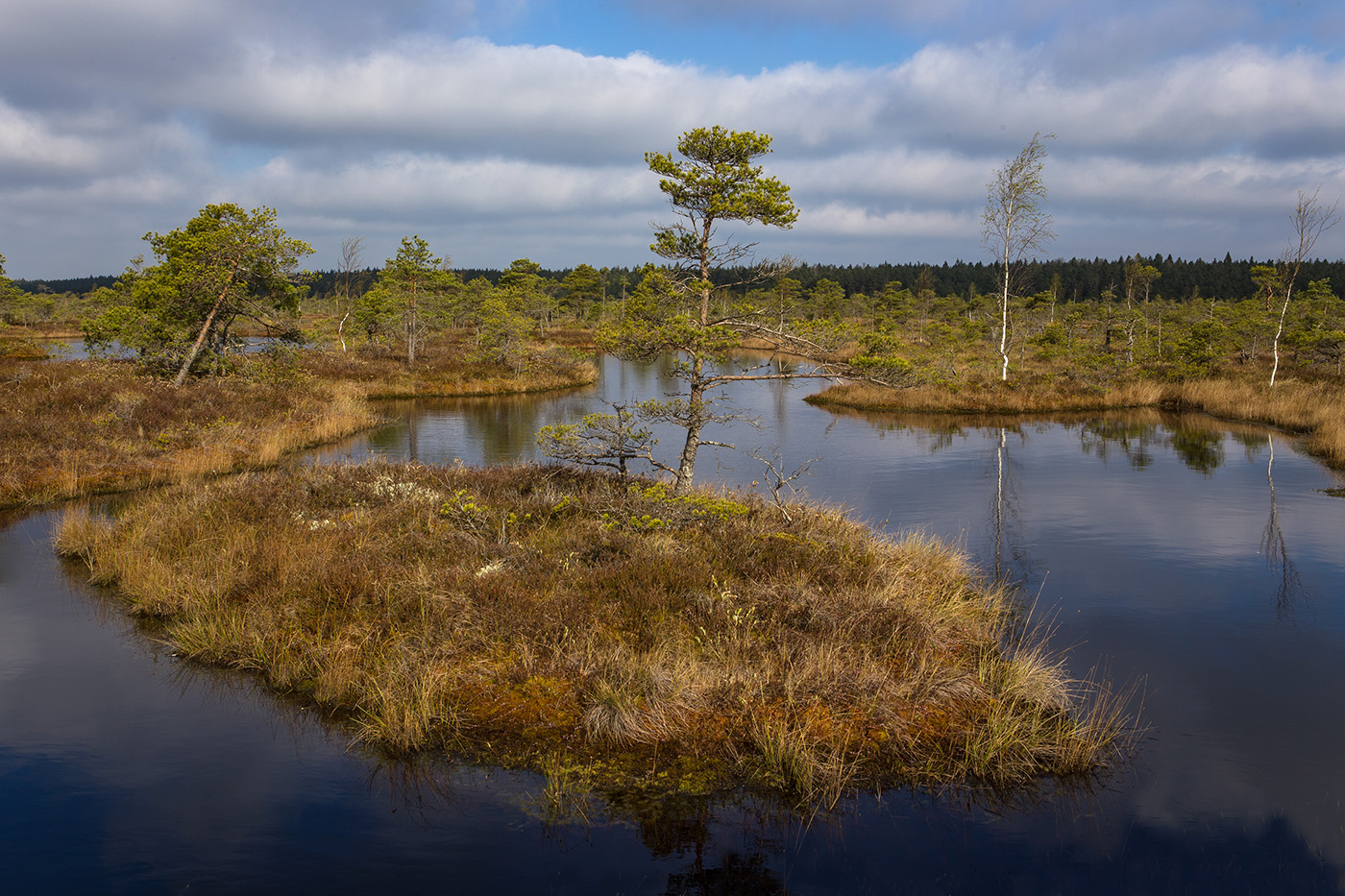 Самоизоляция