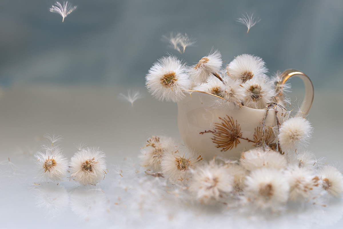 Весенний водевиль....