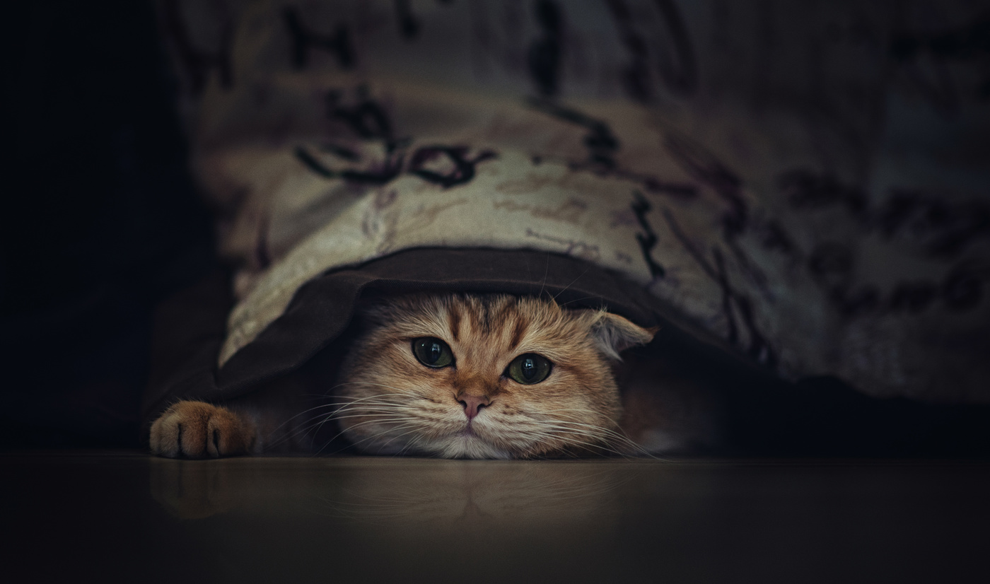 Игра в прятки..)