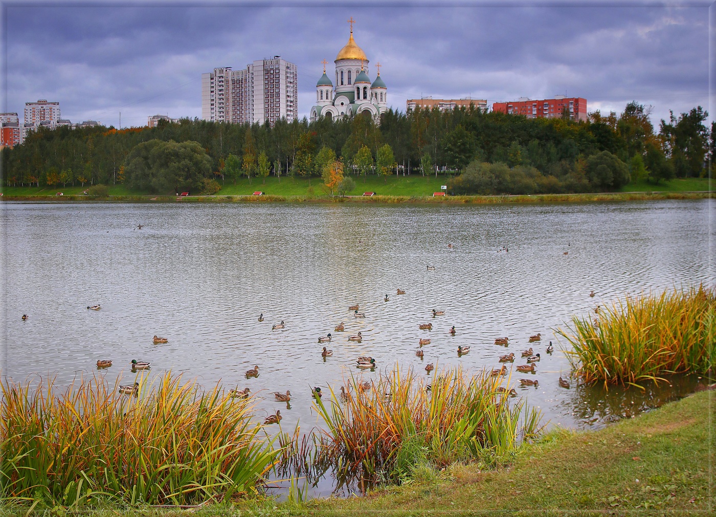 Городская жизнь