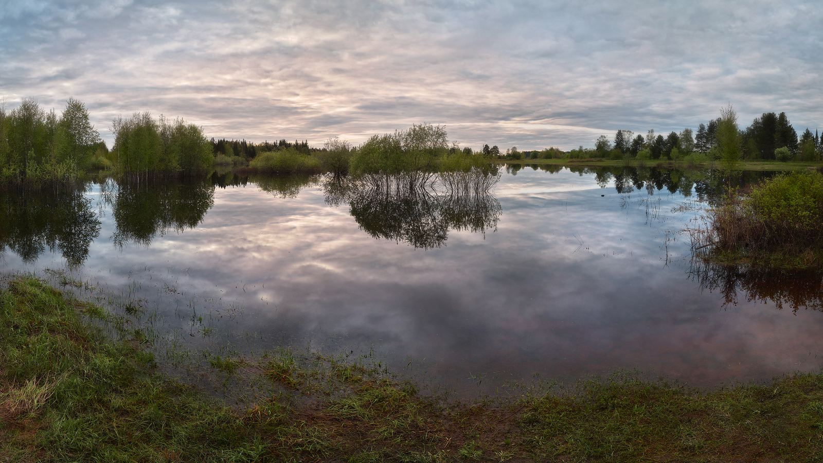 заливные луга...