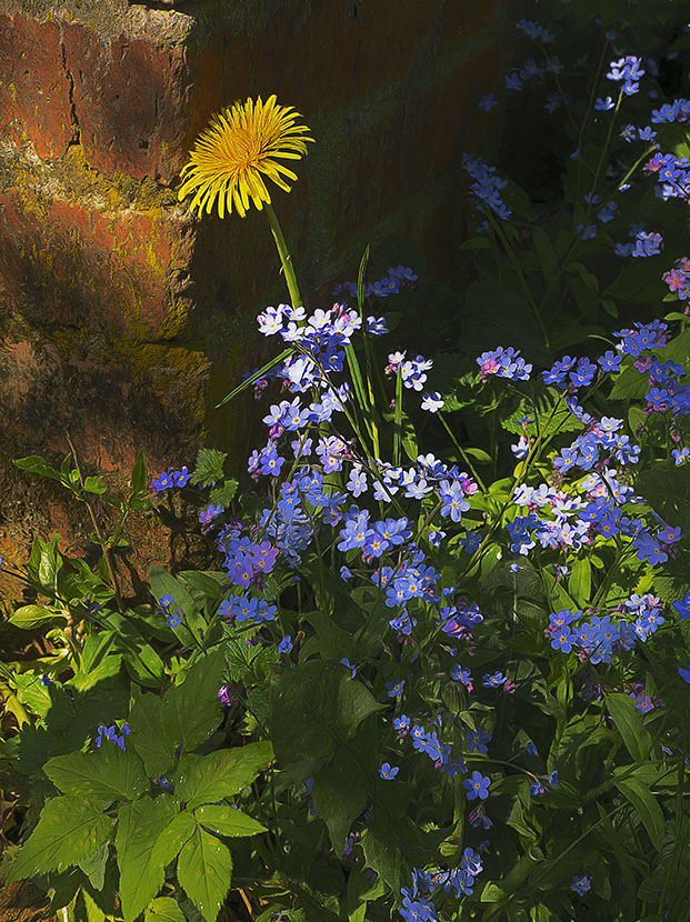 тихий уголок