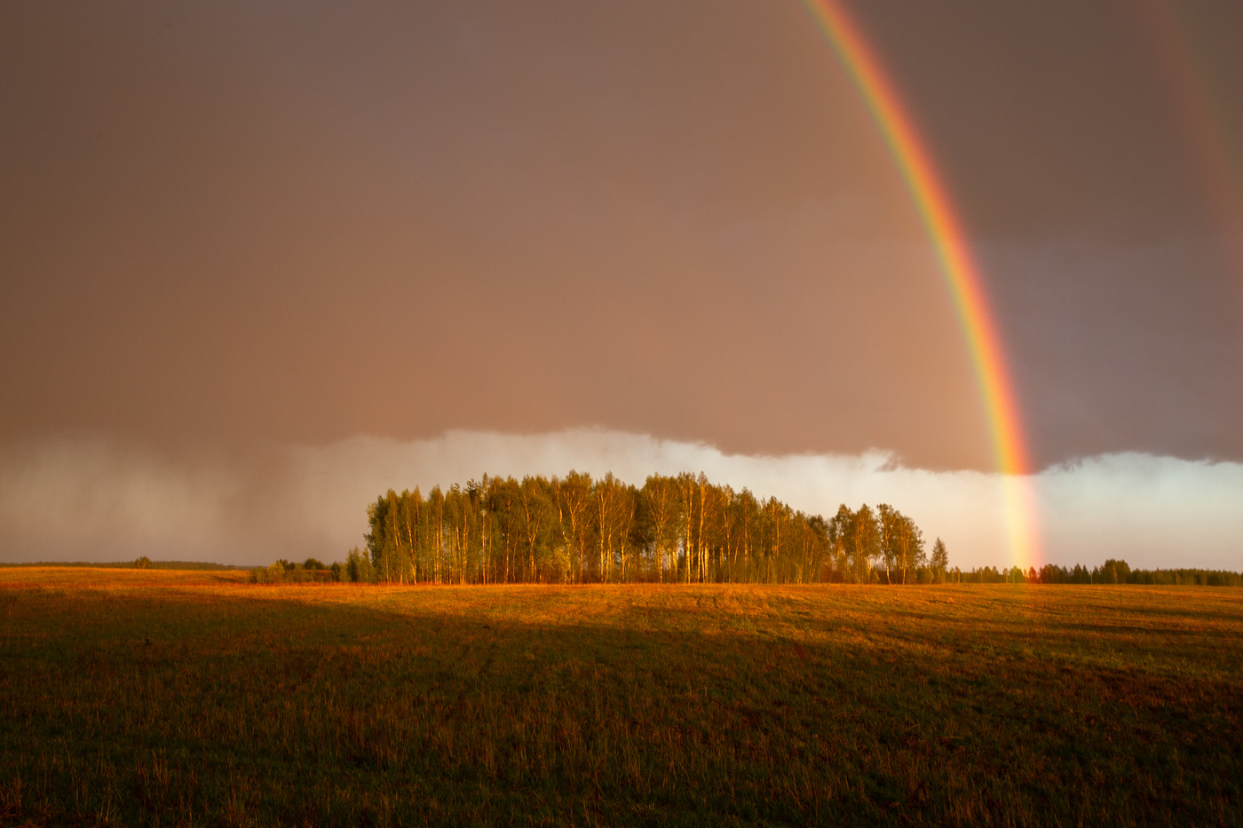 Вечер в поле