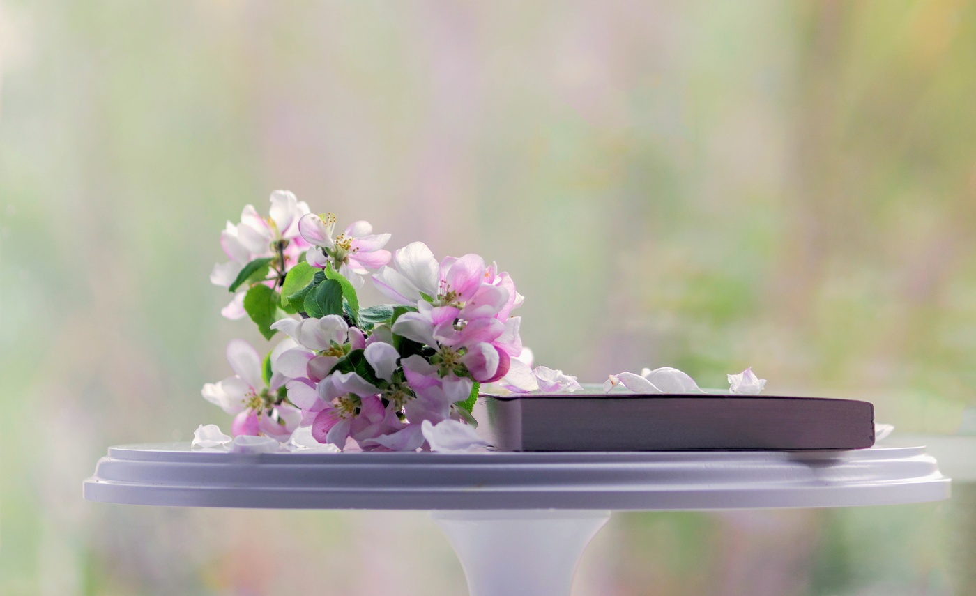 Яблоневый цвет