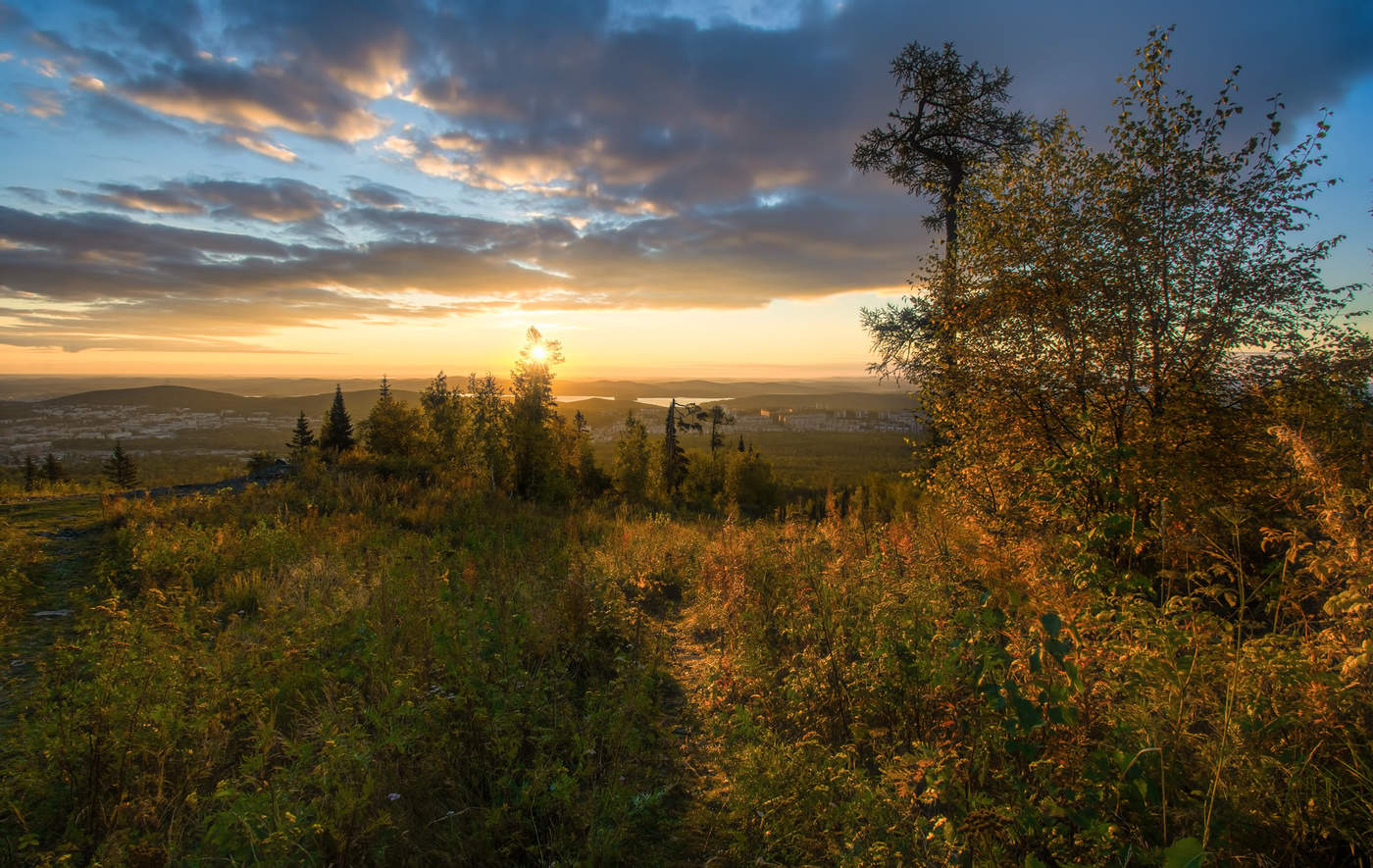 Утренний свет