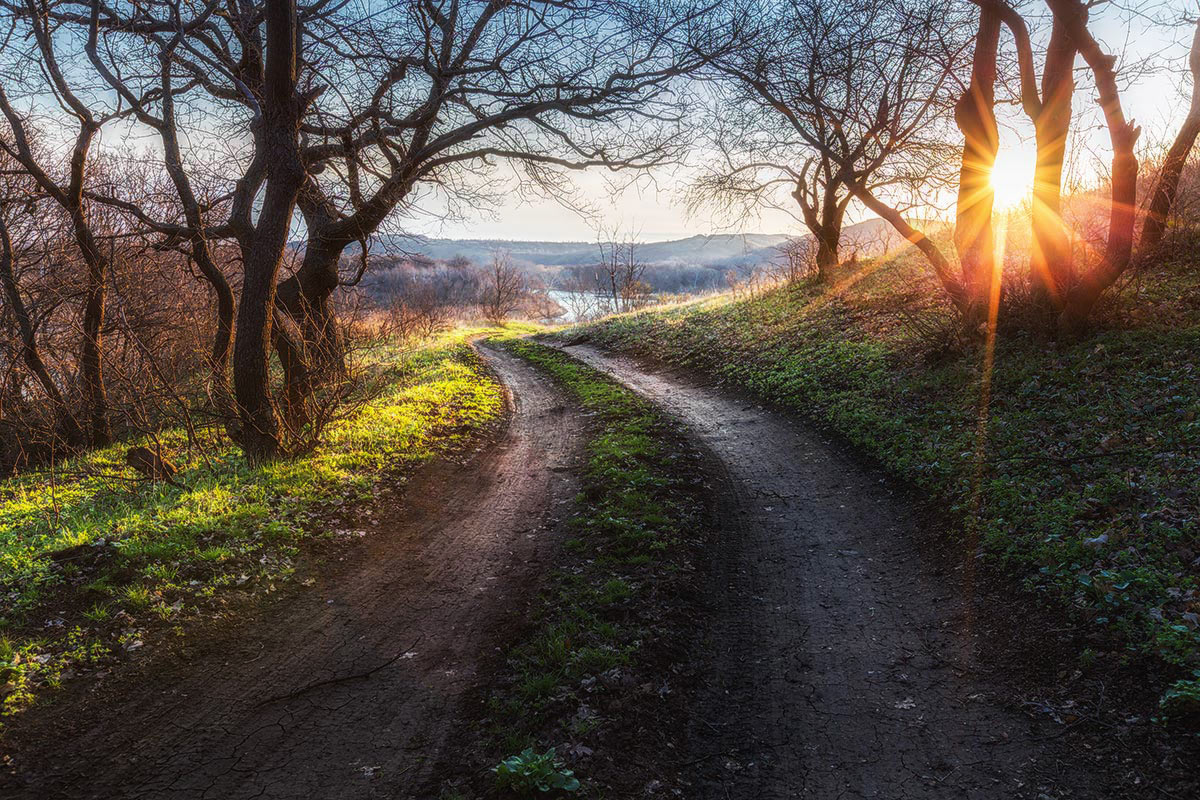 Дорога к реке