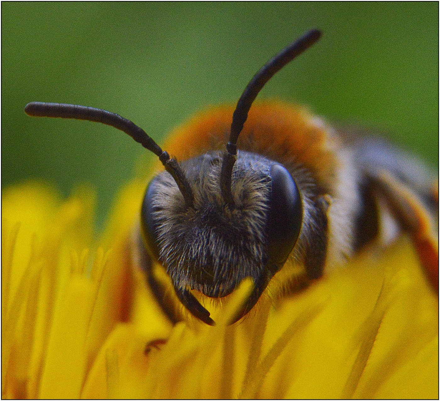 Пасмурный день.