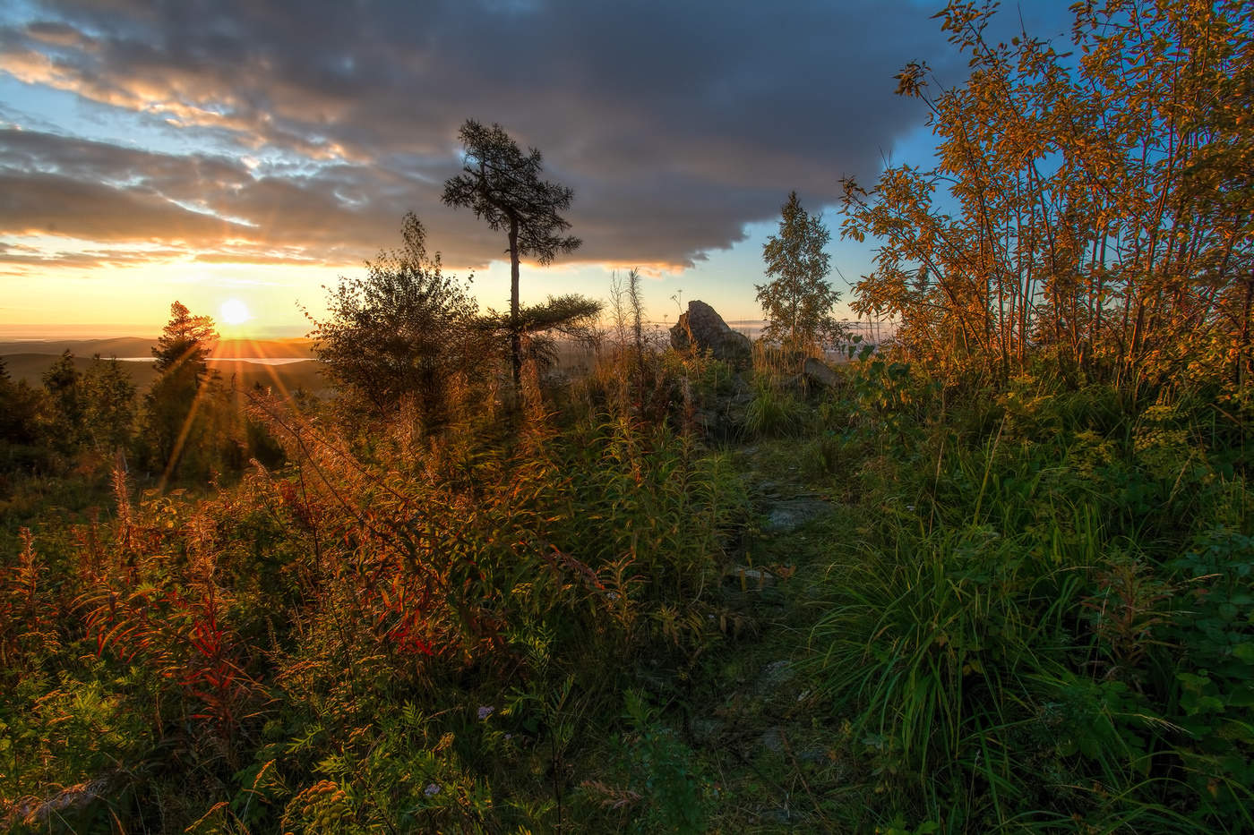 Утренние лучи