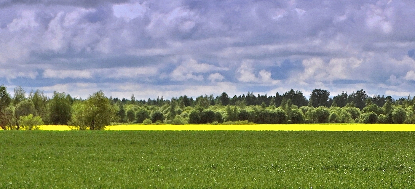 В последний майский день