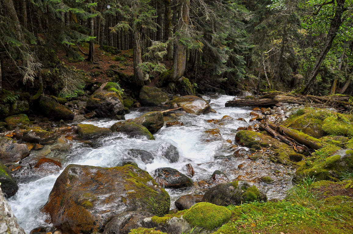 Воспоминания о Домбае.