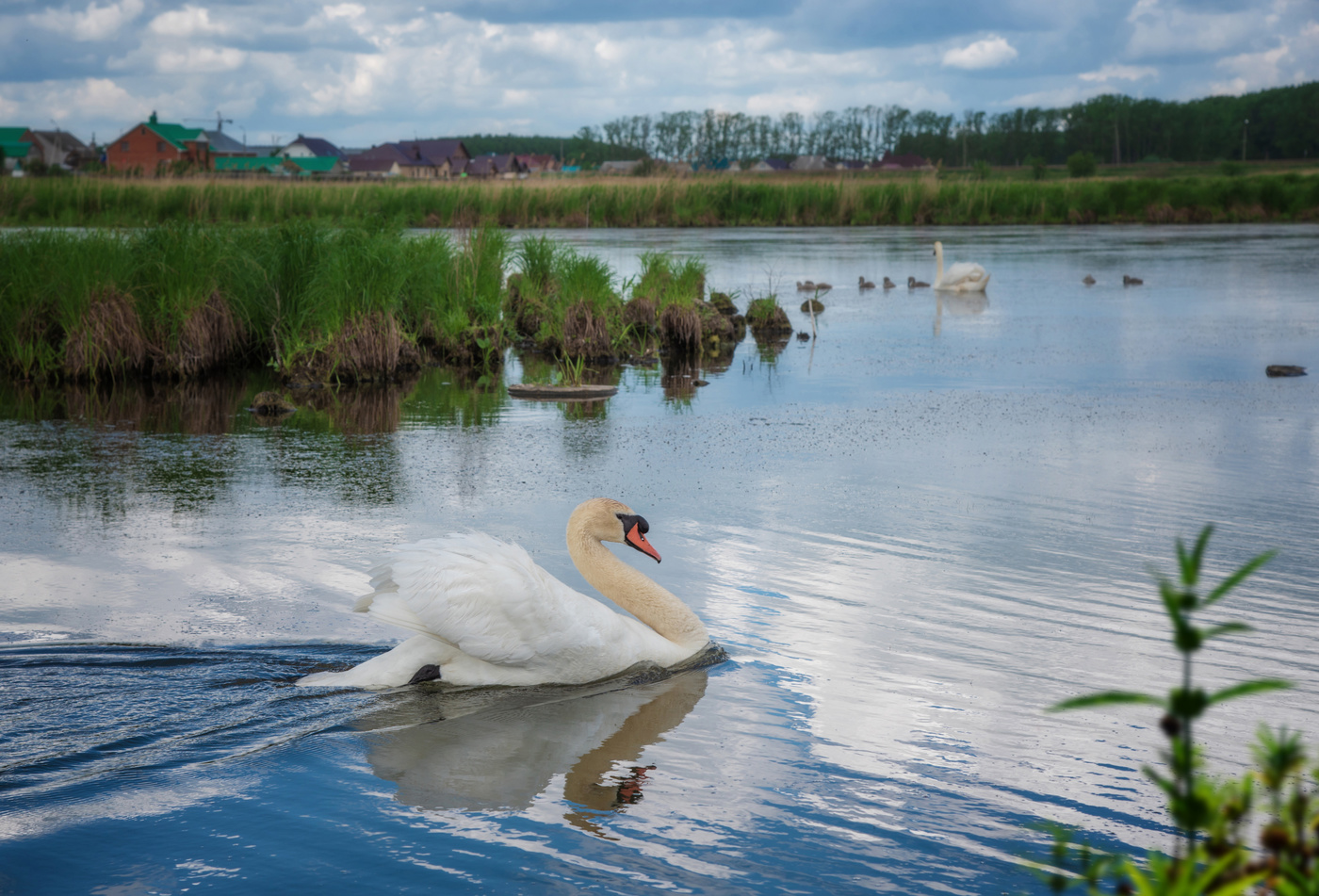 Вдоль улицы Луговой