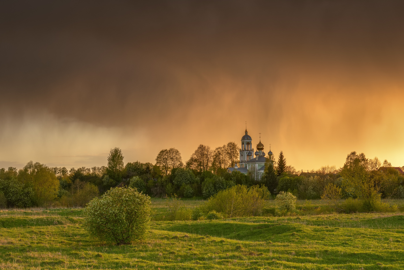 Золотые дожди...