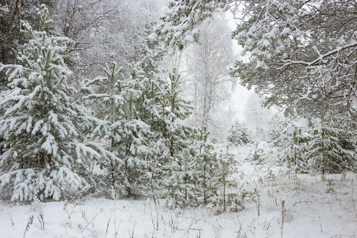 Преображение