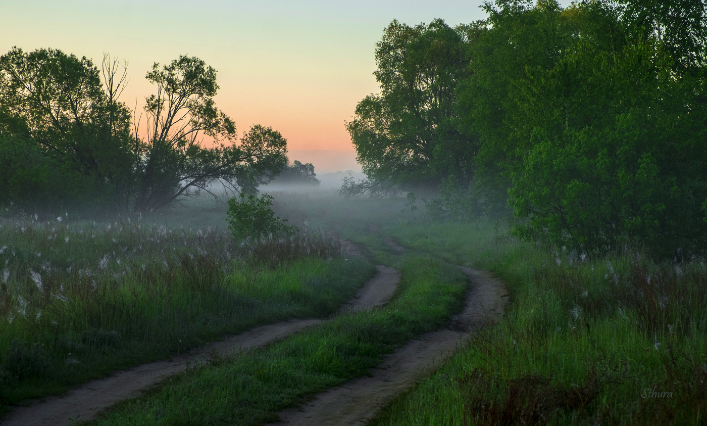 Дорога в поле.