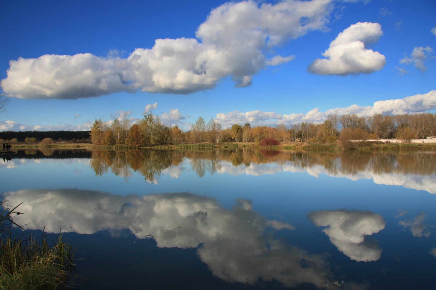 Отражение и объем
