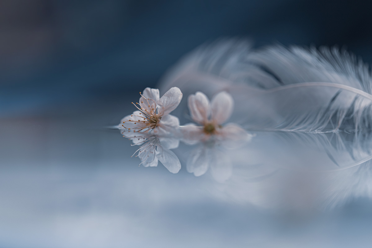 Весенняя импровизация...