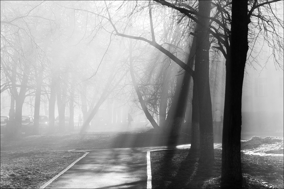 Туман и солнце - день чудесный.