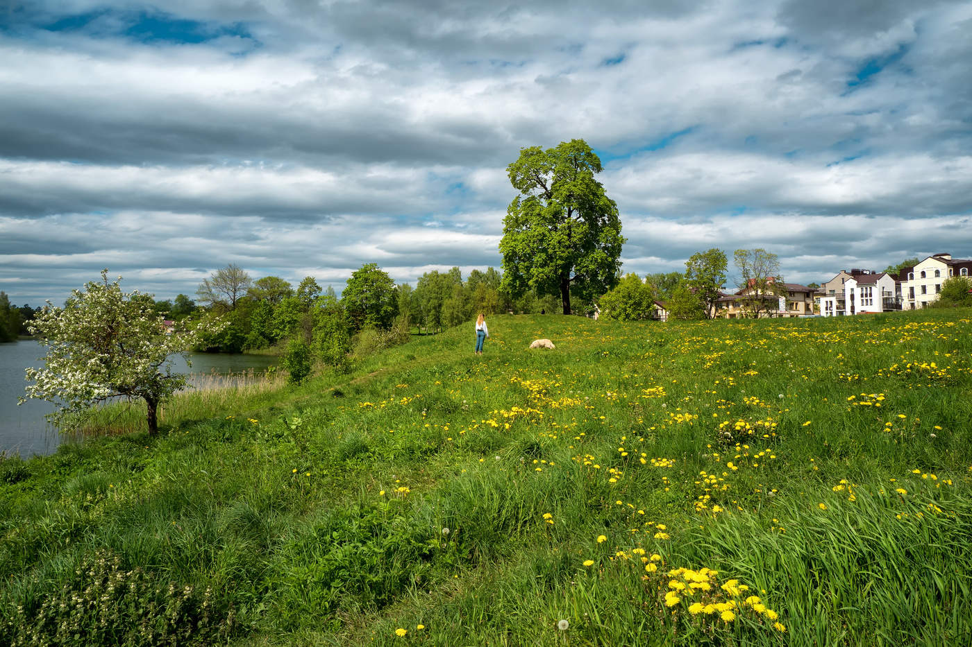 Summer countryside landscape.