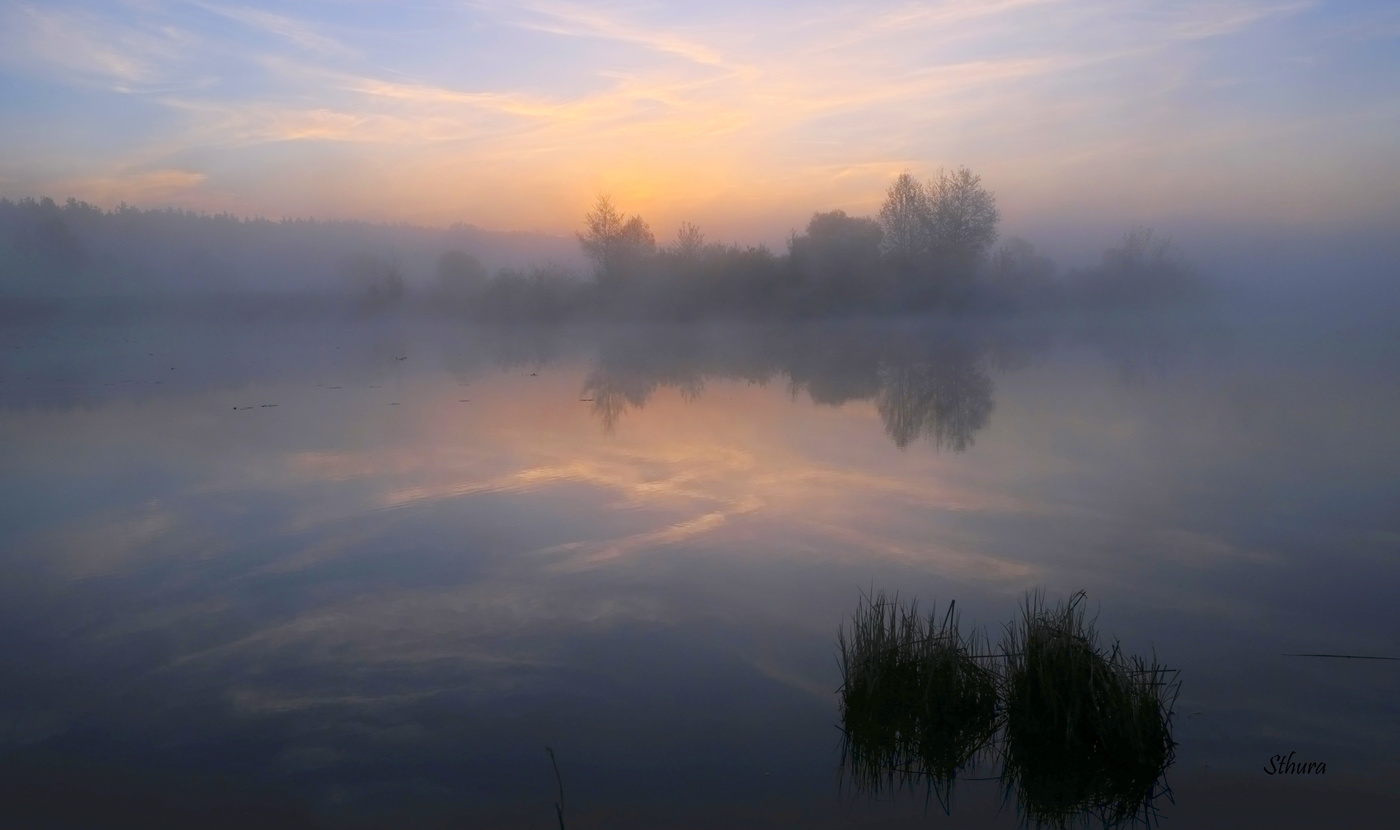 Силуэты сквозь туман.