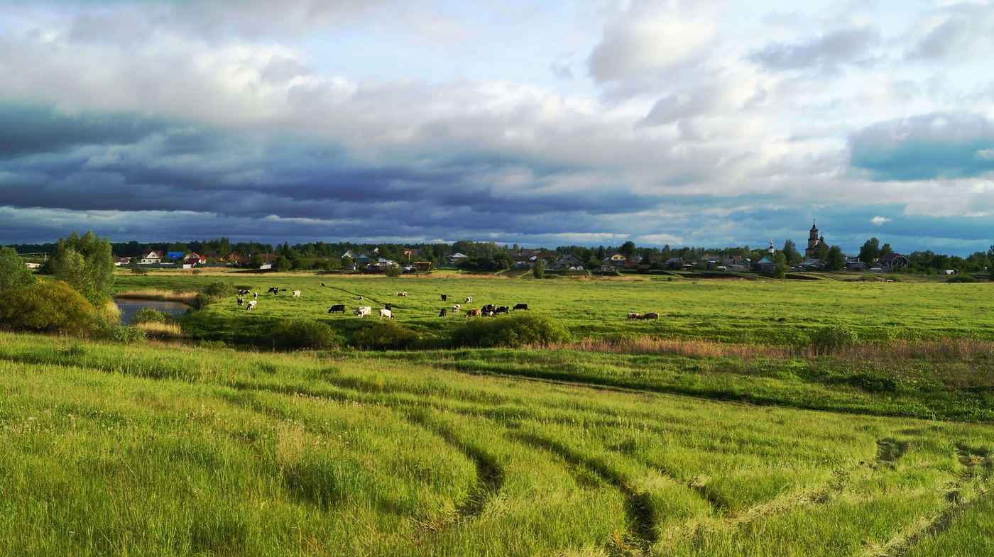 Летние краски