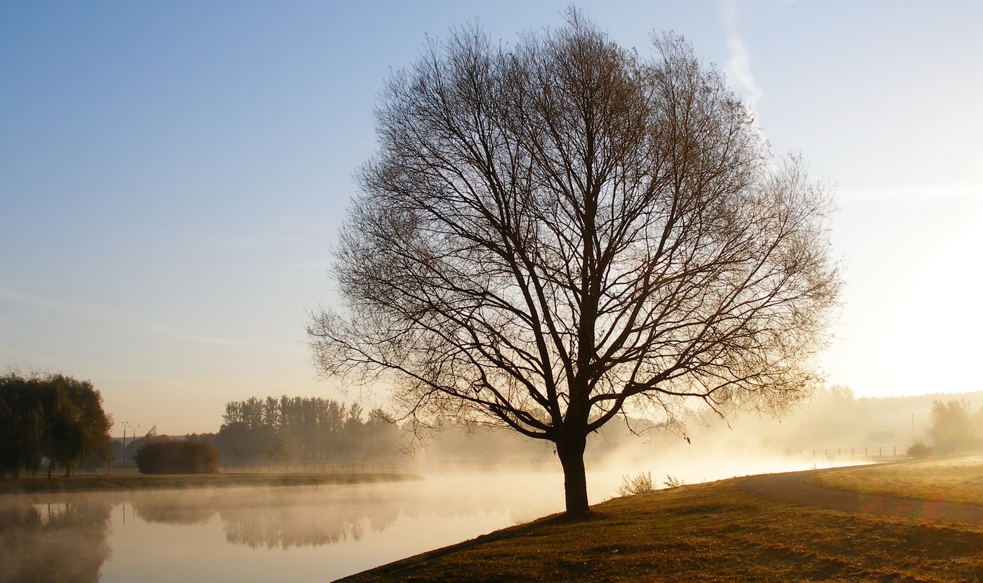 Прозрачность утра...
