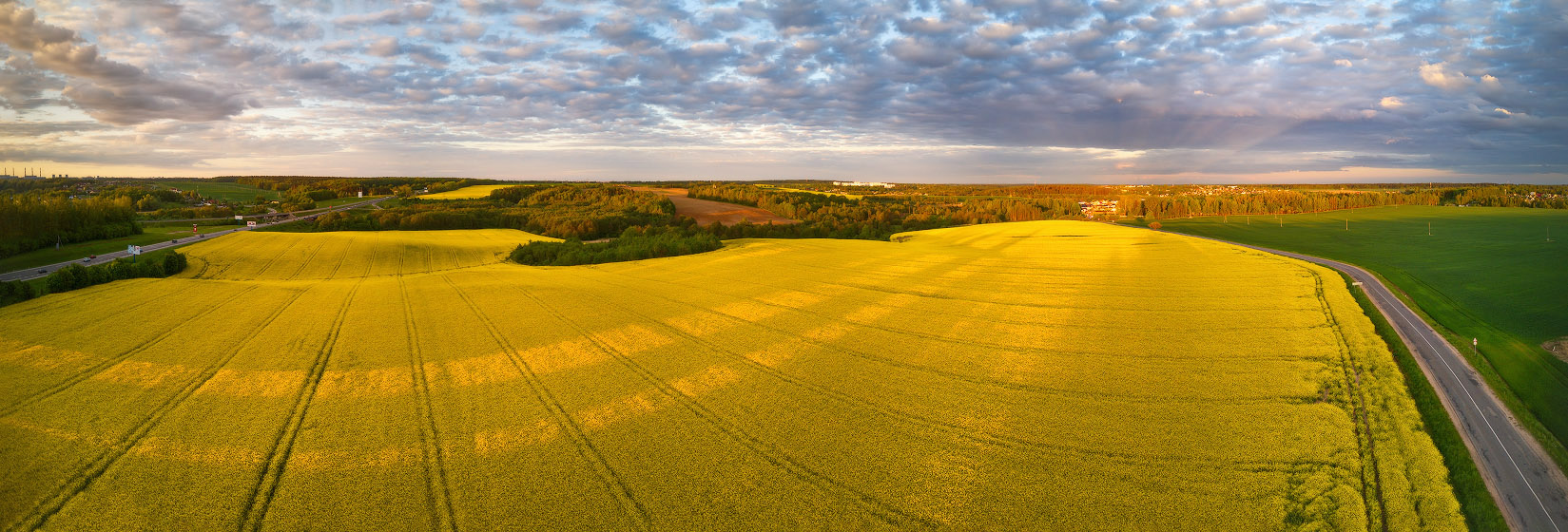 Вечер возле Волковичей