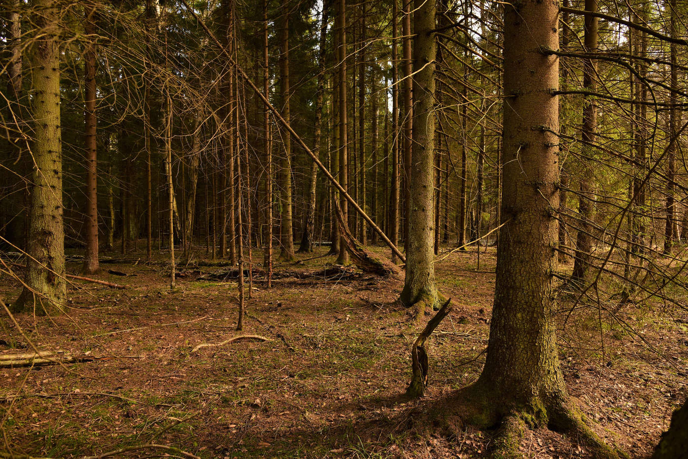 И тишина, которую хочется слушать ...