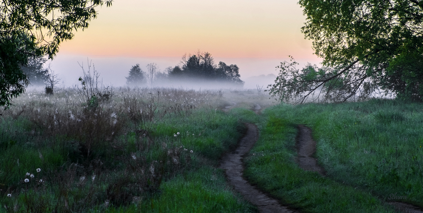 Дорога в туман.