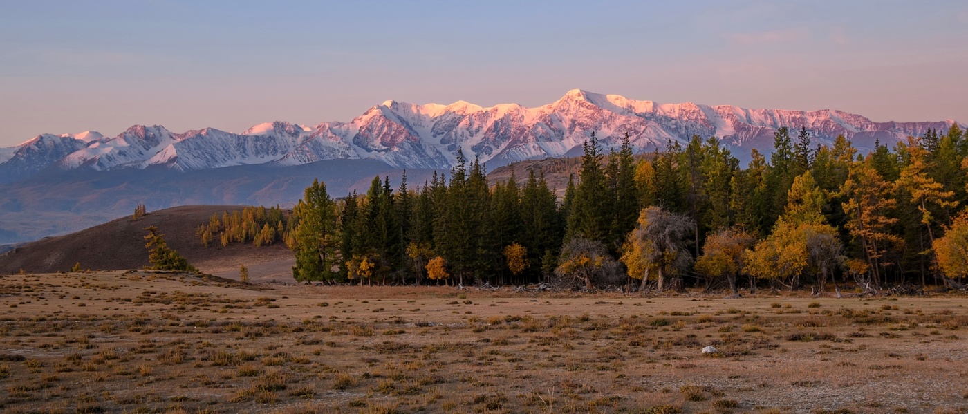 Розовый рассвет.