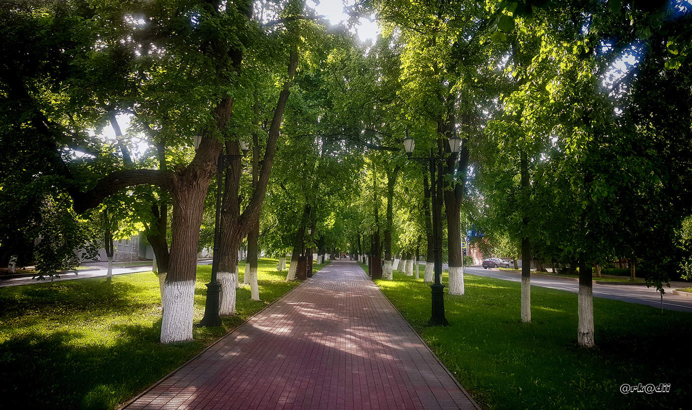 Софьюшкина аллея.