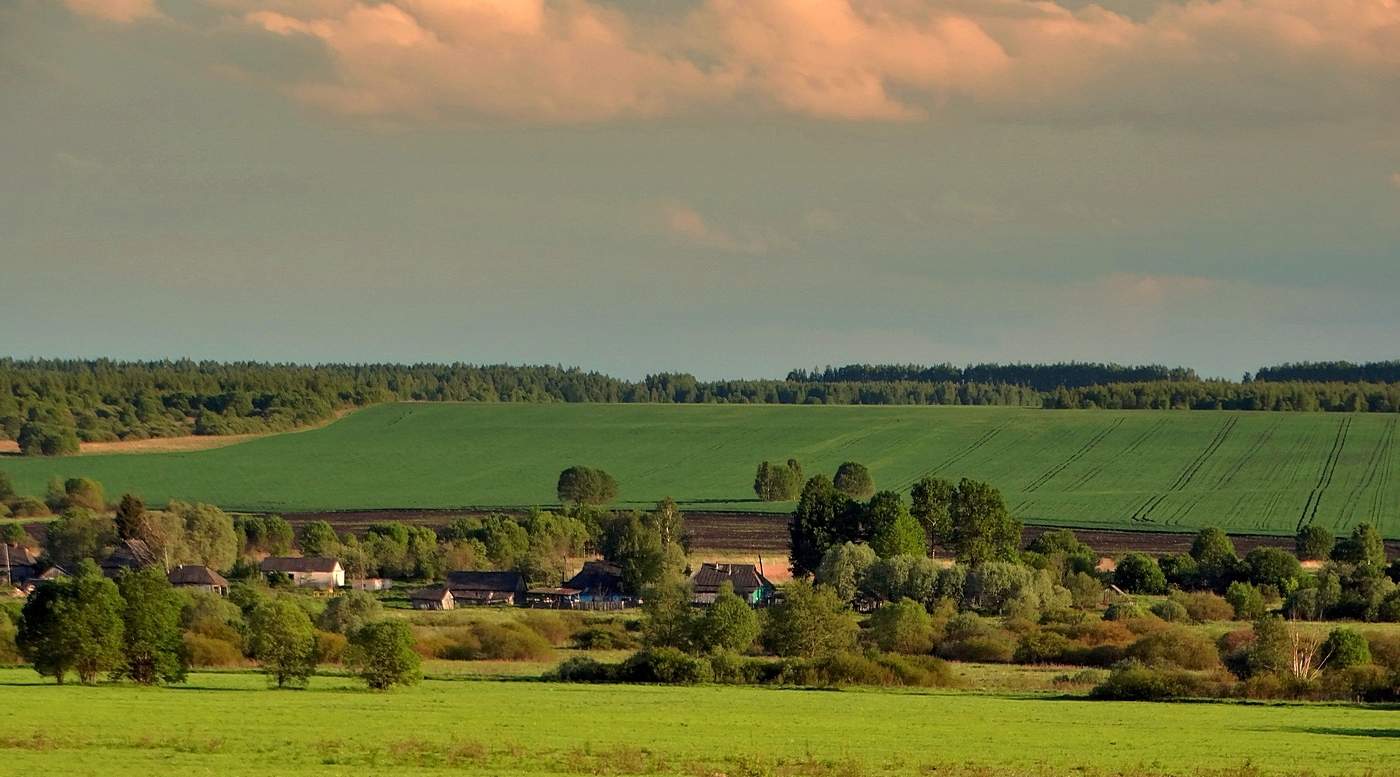 Летним вечером в полях