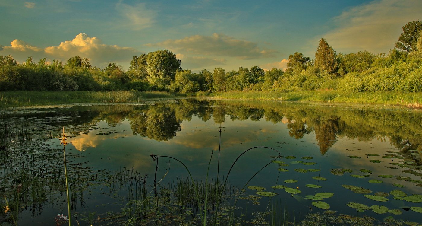 Засыпает летний вечер...