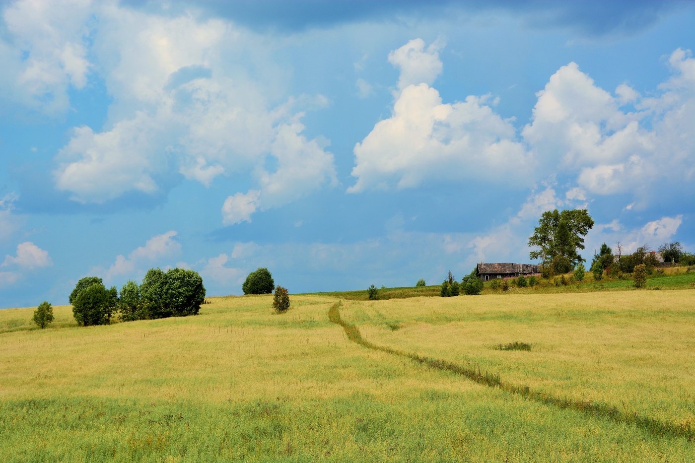 "Воздух Родины - он особенный, не надышешься им..."