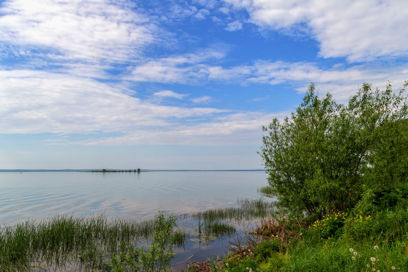 Летний незатейливый пейзаж