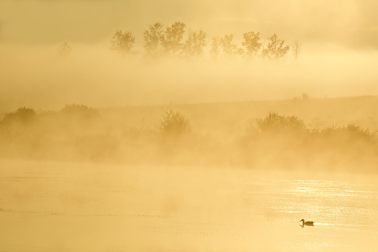 Золото уходящего лета