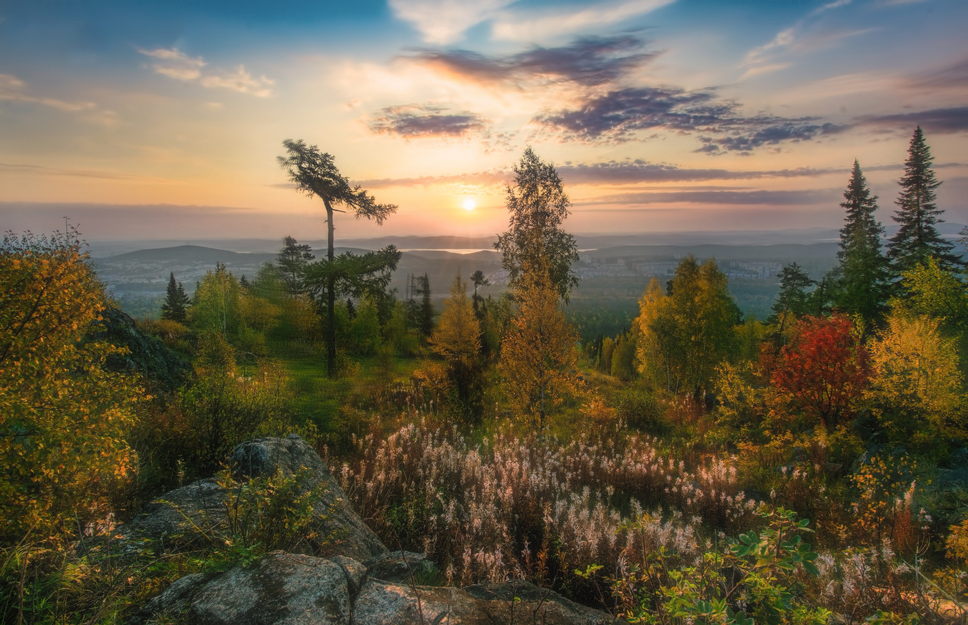 Осеннее разноцветье