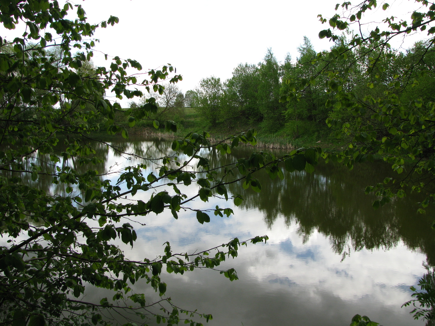 *старый пруд 2