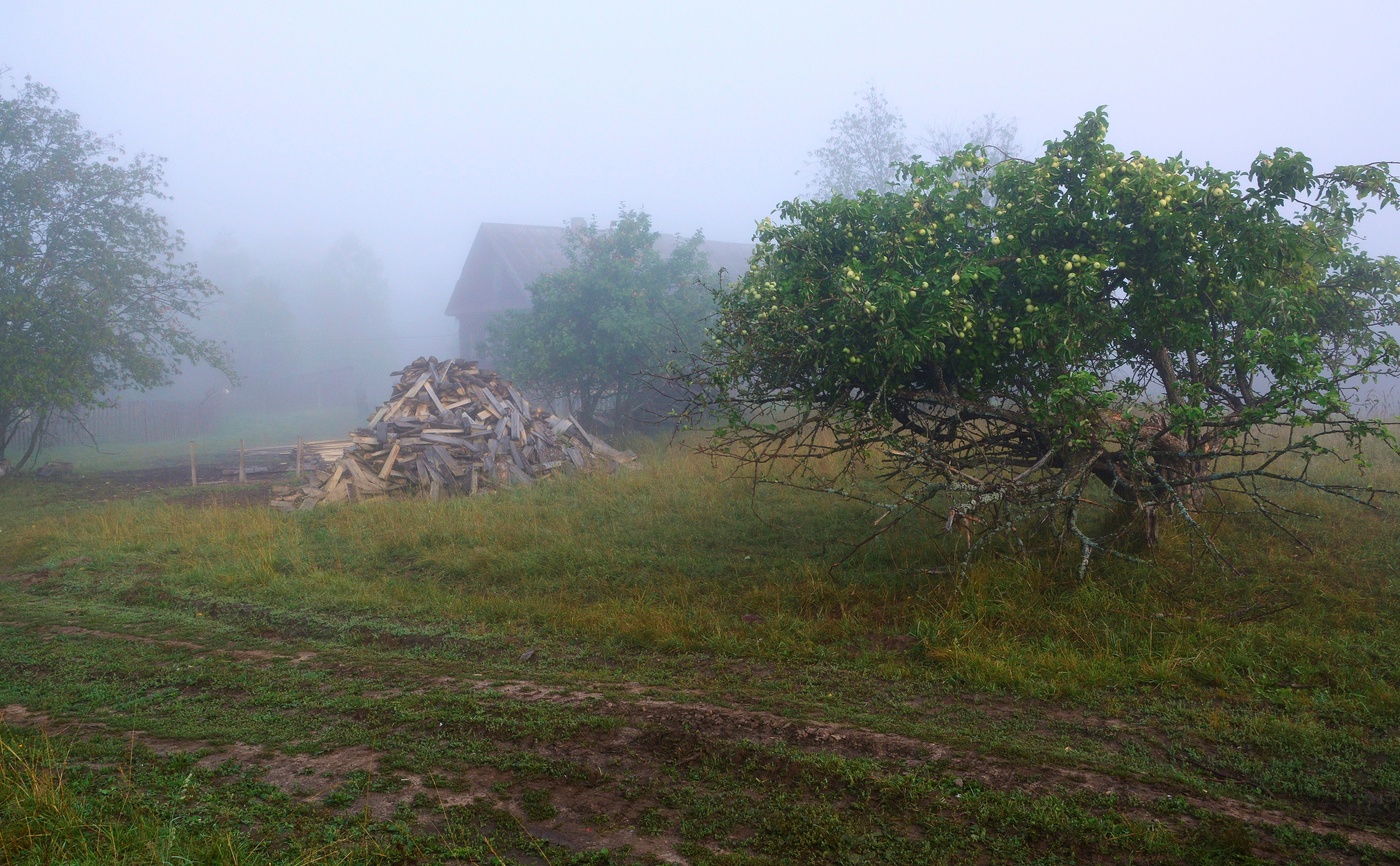 "Почему-то мне снится деревня ..."