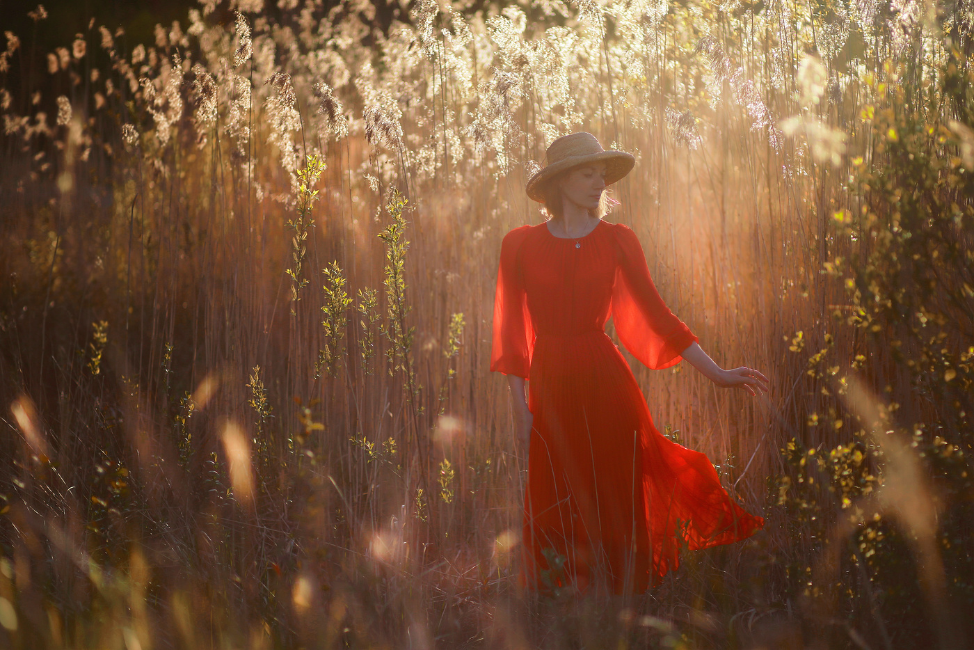 Первые летние дни