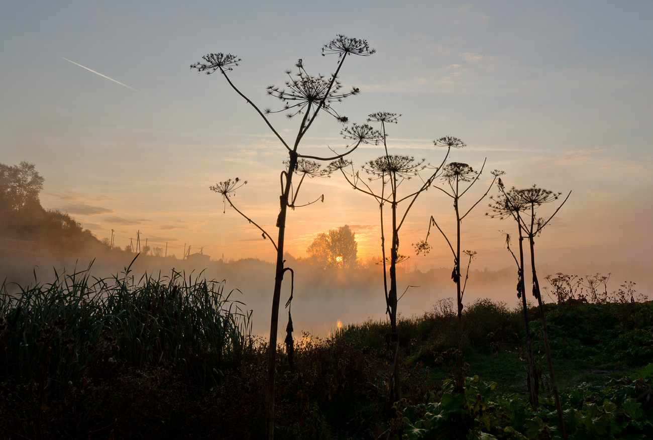 Выше рассвета