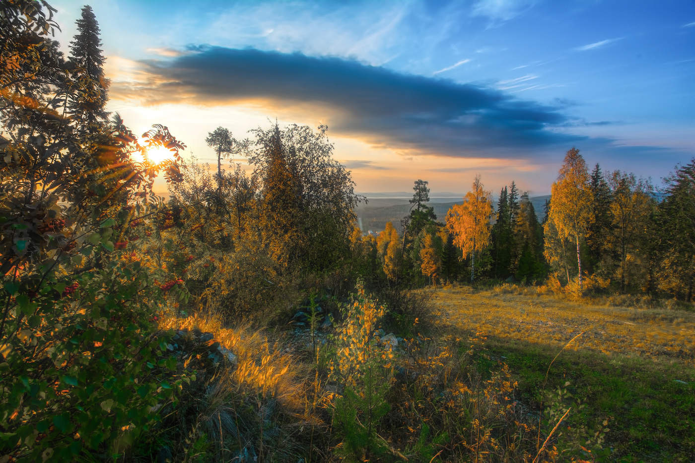 Утреннее солнце