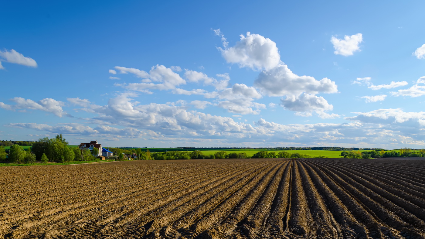 Урожаю быть